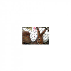comprar Malla Triple Torsion Alt.1000X13X0,7 R.10M Bresme online - Bresme