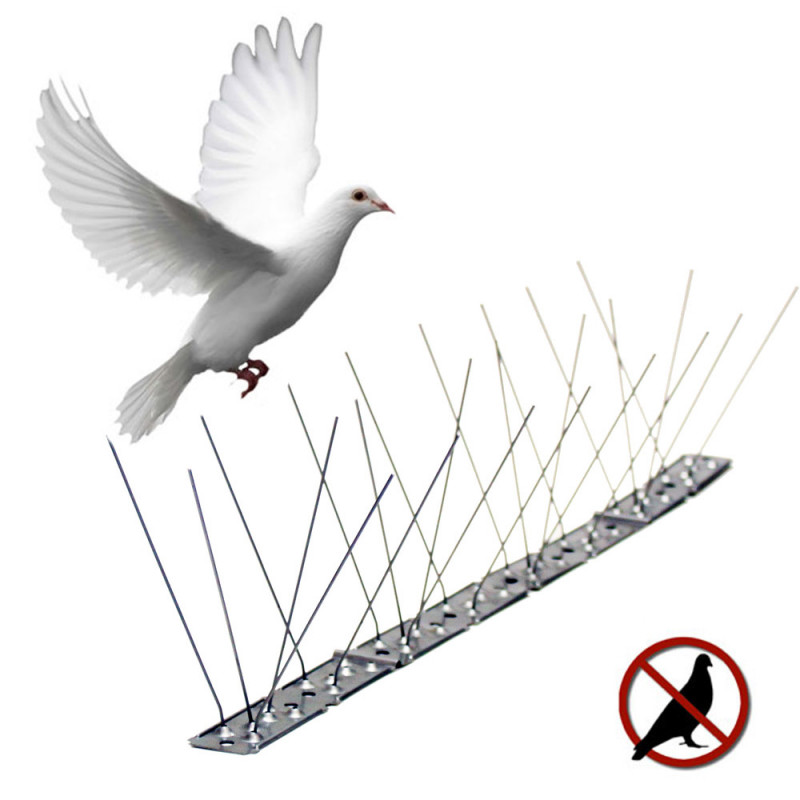 Disuasorio para aves varillas inox. Disuasorio para aves varillas inox.